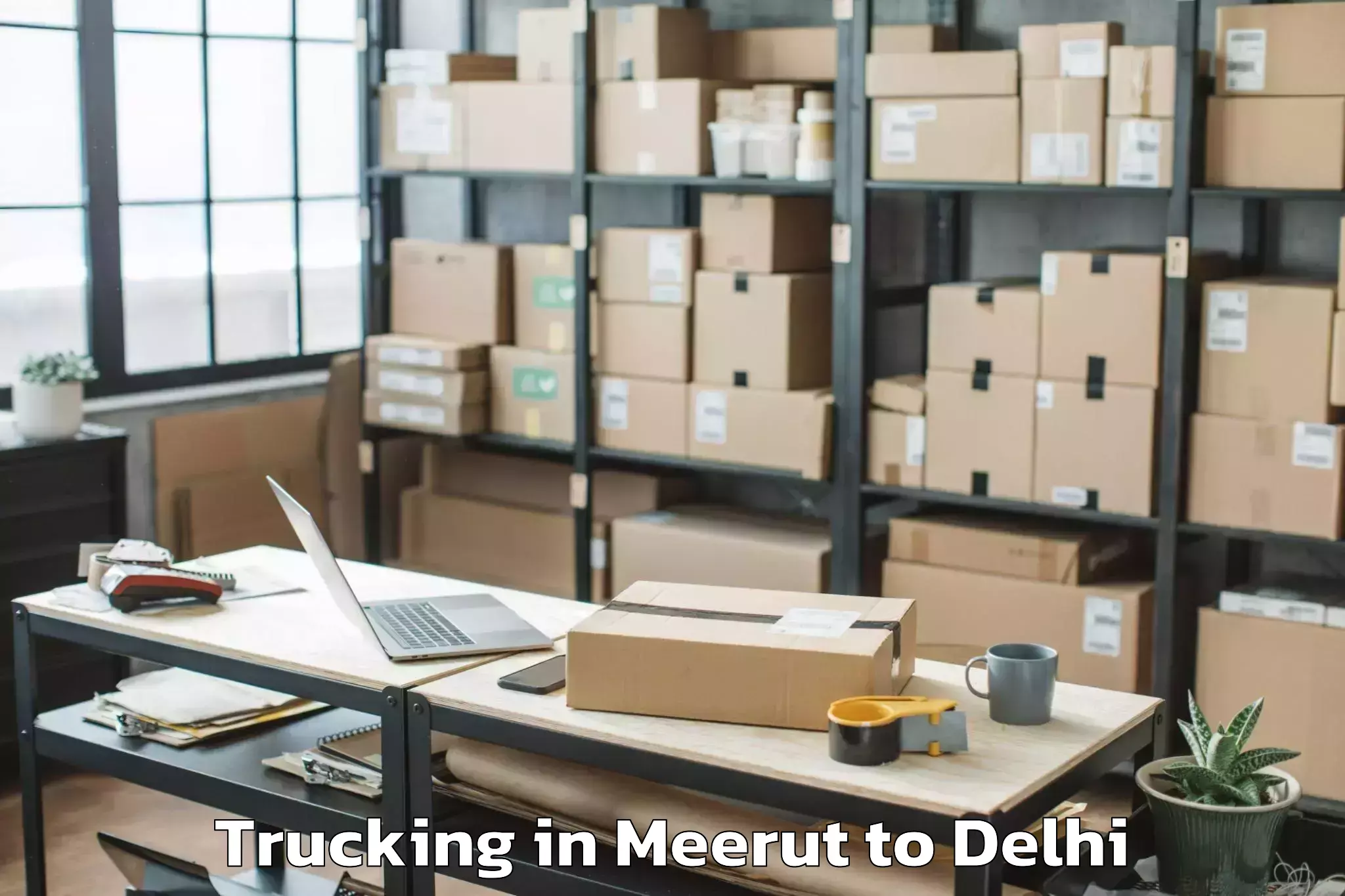 Top Meerut to Unity One Janakpuri Mall Trucking Available